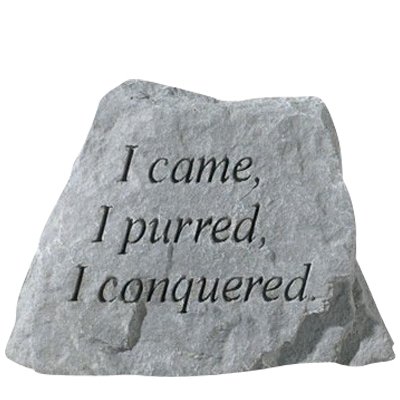 I Came I Purred Rock